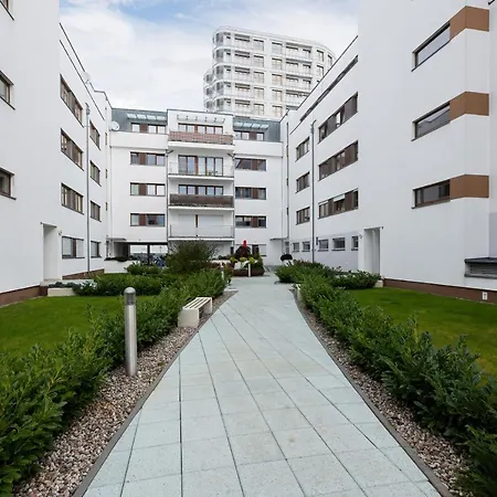 Platan Platan 슈비노우이스쳬